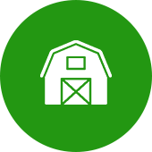 LOREM IPSUM
